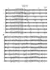2009 Laudate, pueri (Psalm 113) - für 8-stimmigen Kammerchor