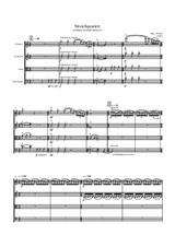 Extended melodies: String Quartet Nr.1 (2008)